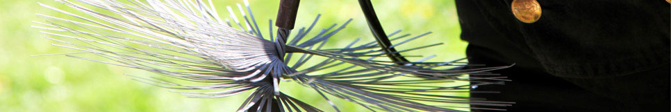 Banner - Alfred Wolf